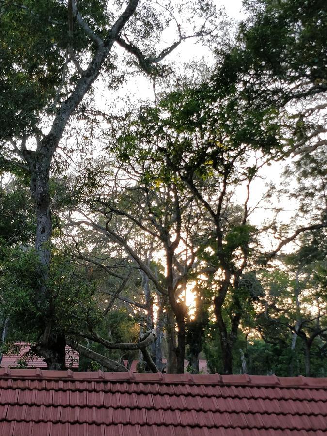 Hotel The Birchwood Retreat, Madikeri Esterno foto